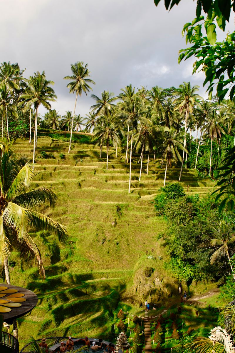 Best of Bali tour