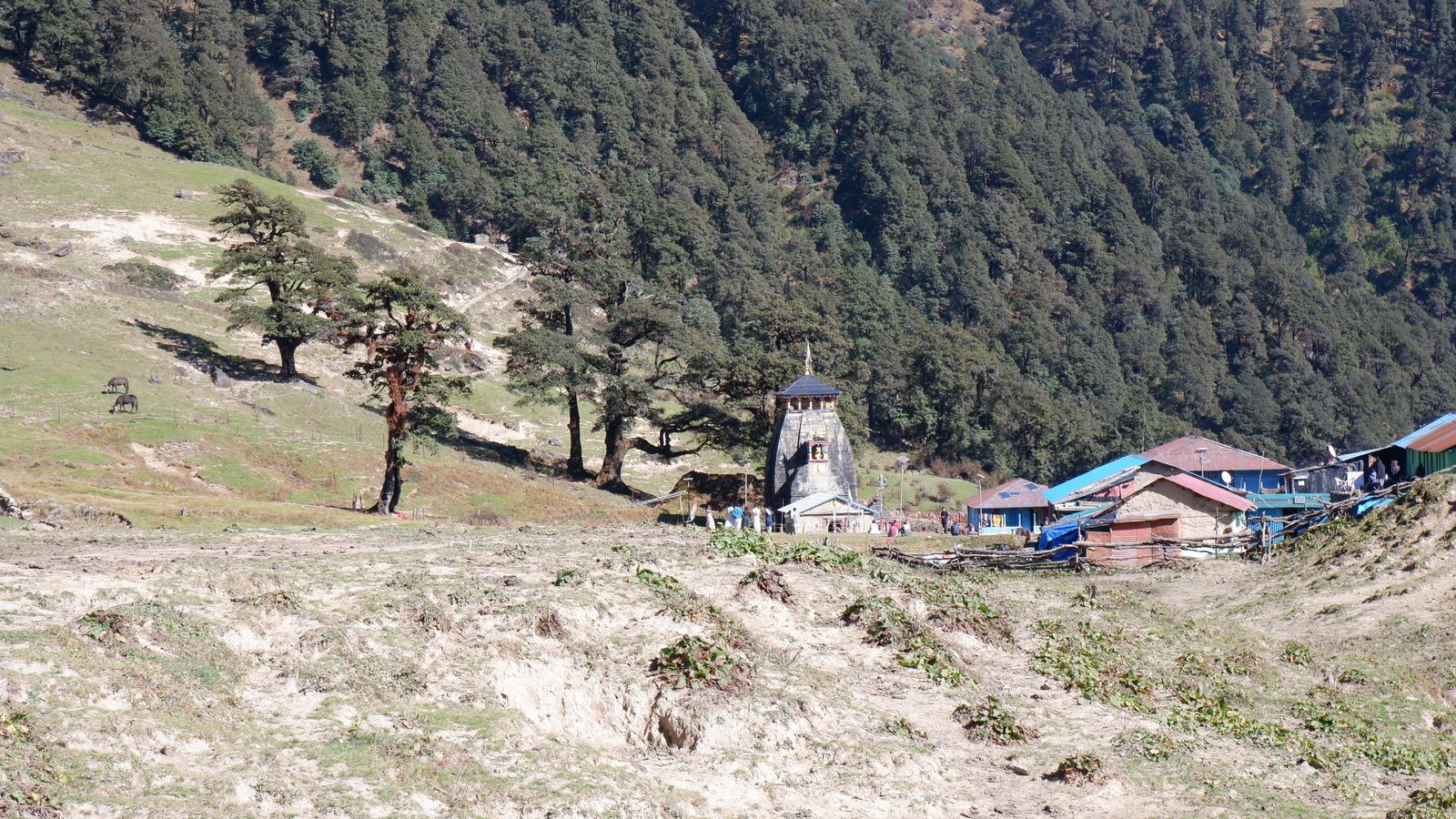 Chopta
