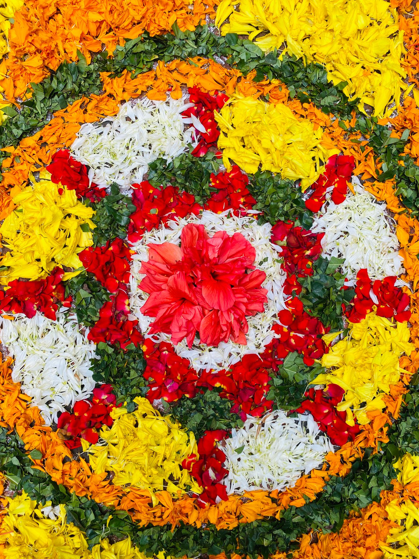 Colourful Pookalam flower carpet made for the Onam festival in Kerala