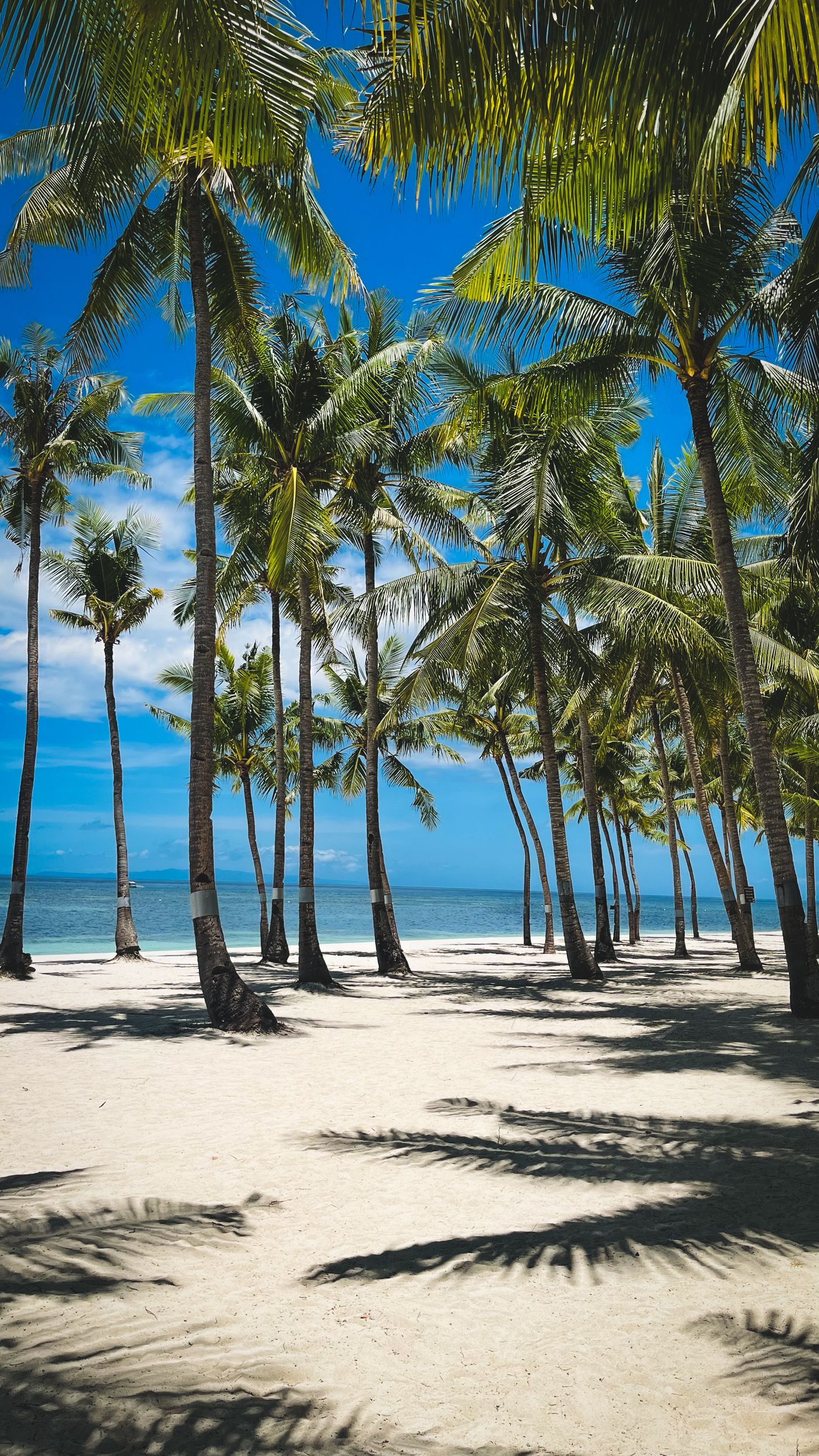 Goa Honeymoon