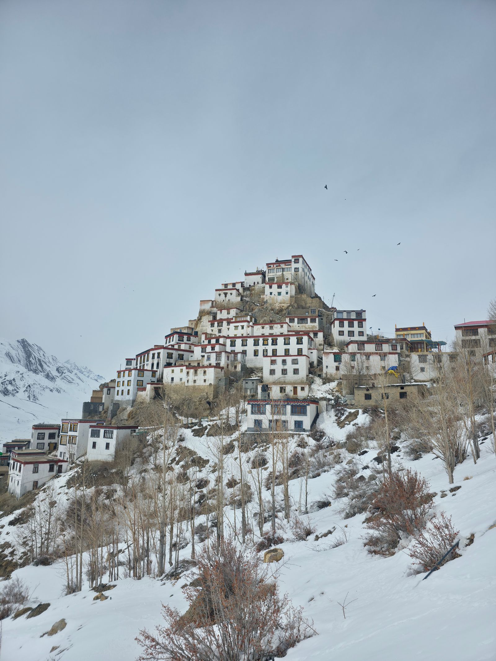Chandratal Lake & Lahaul Trip