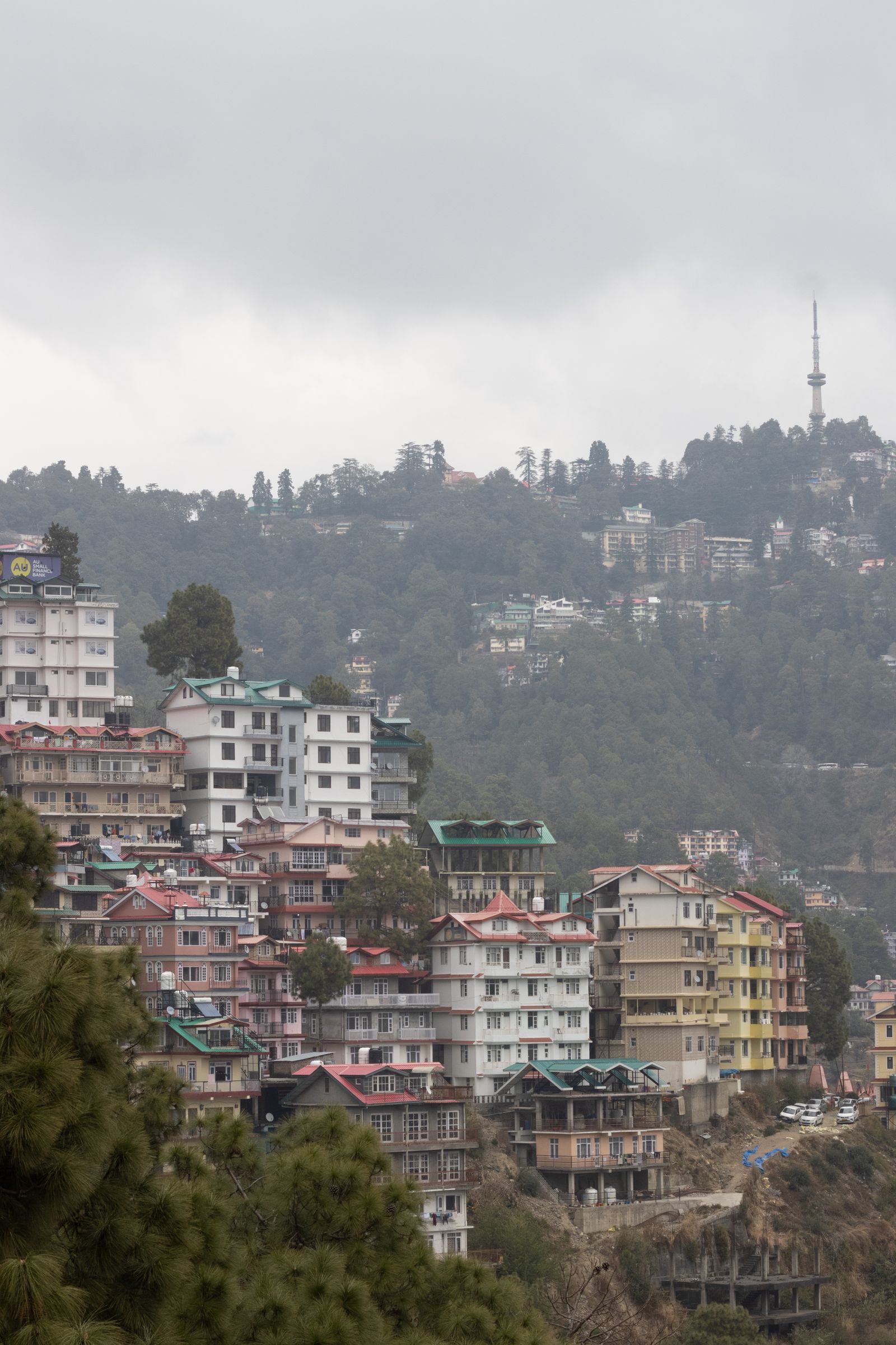 Shimla, Kufri & Chail Getaway