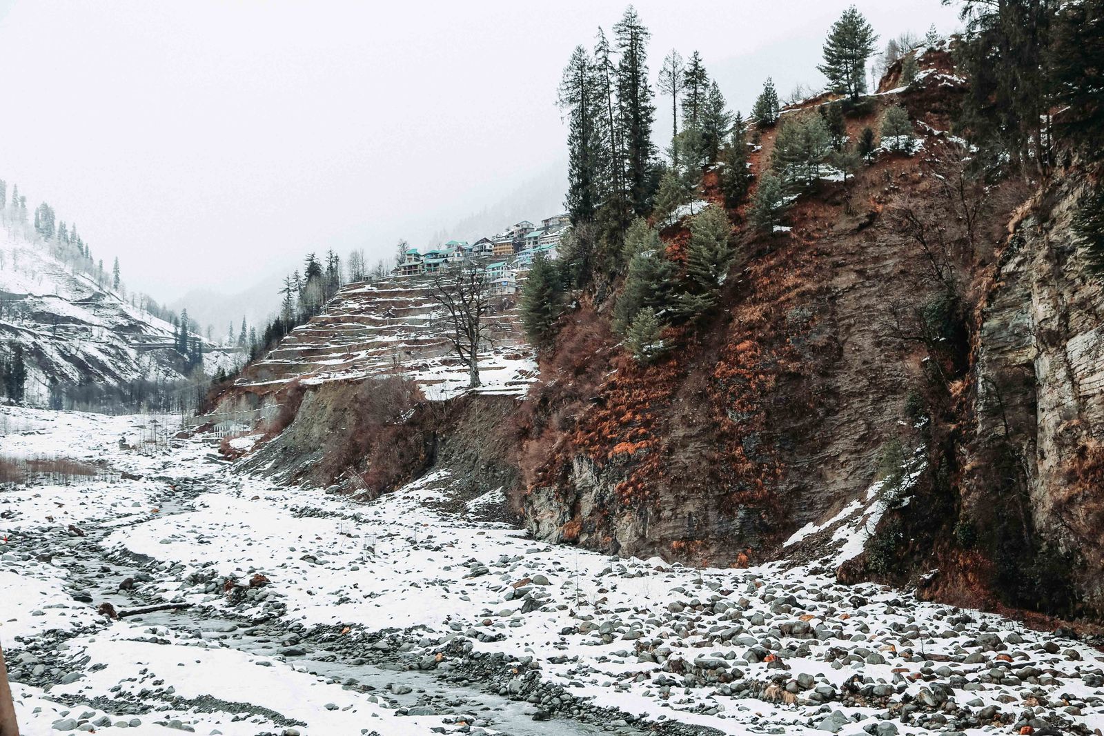 Himachal Group Departure: Shimla & Manali