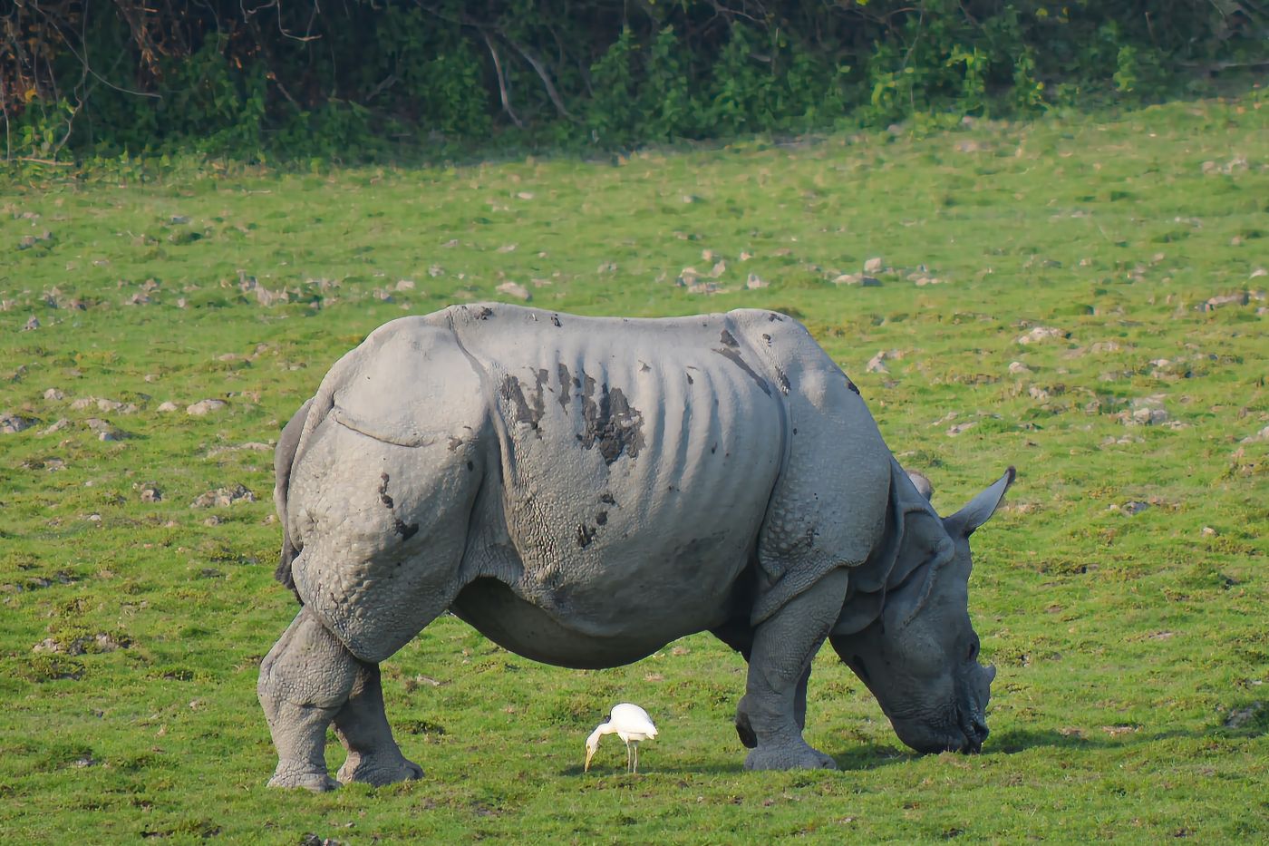 Assam & Meghalaya Combo Tour