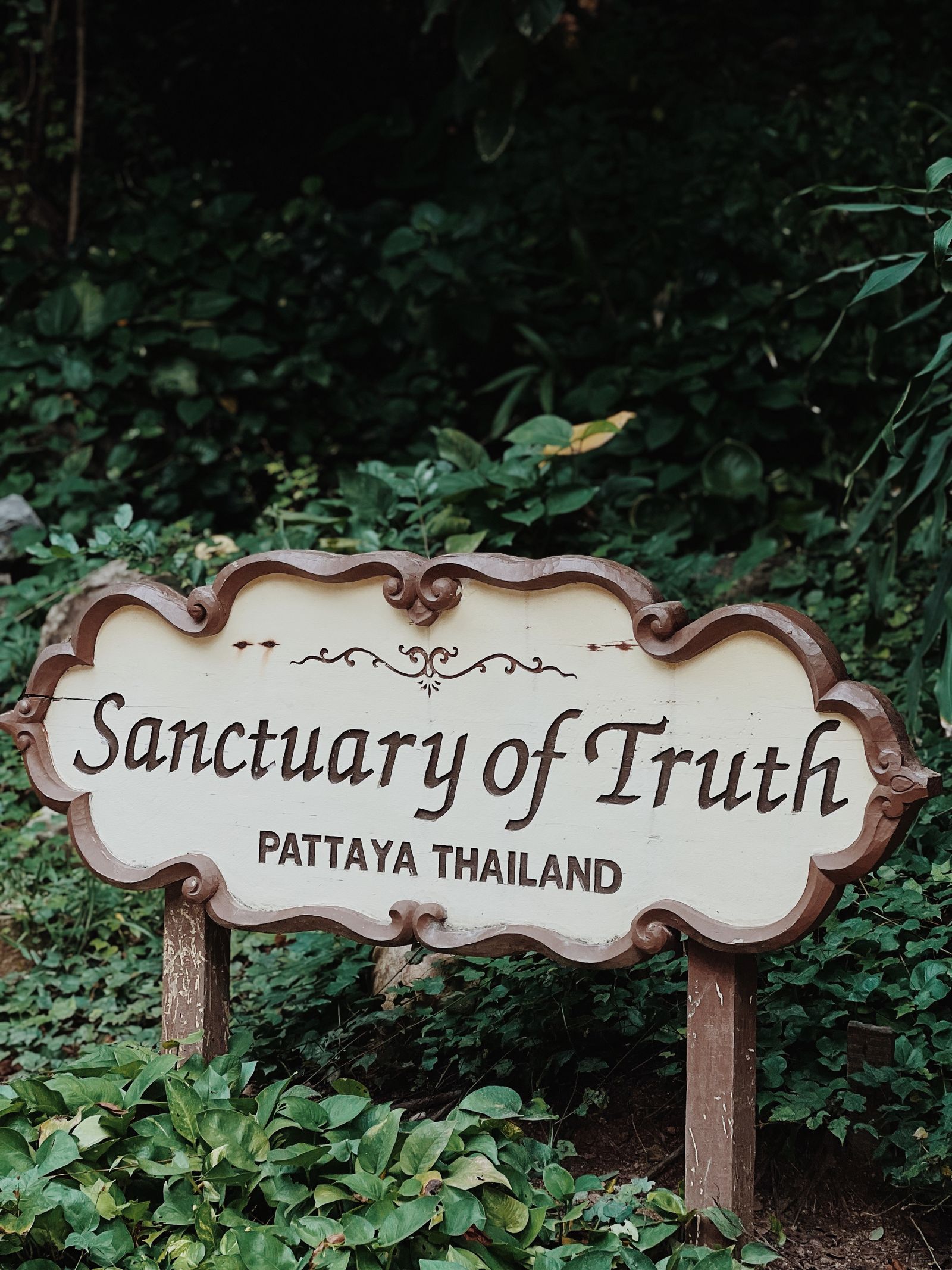 Pattaya Beach & Coral Island